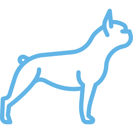 bulldogs