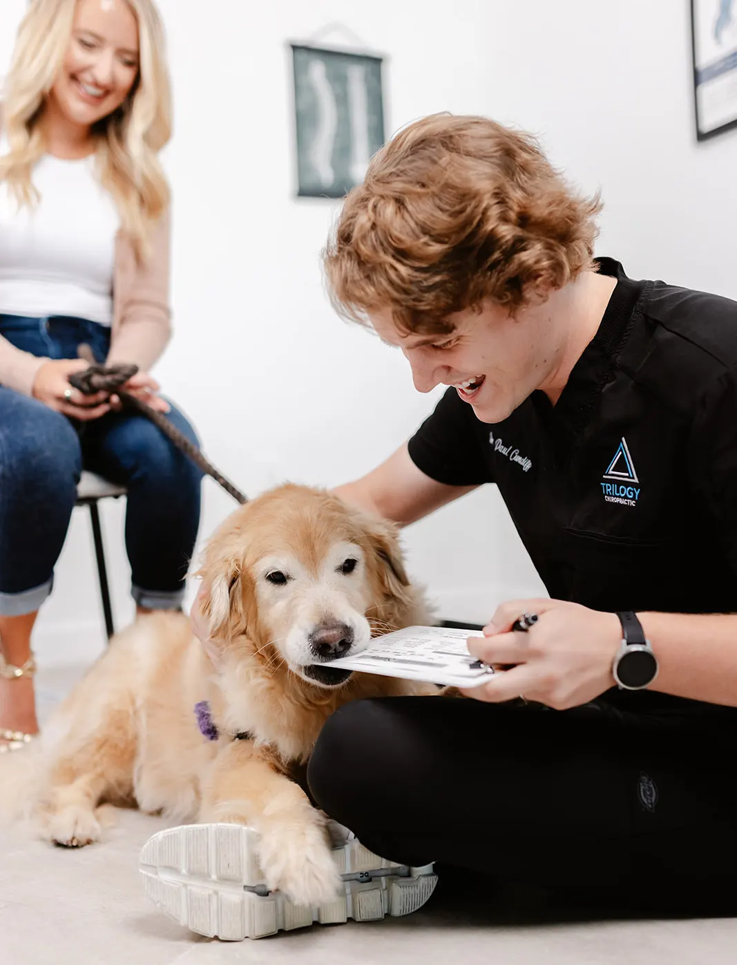 dog chiropractic banner