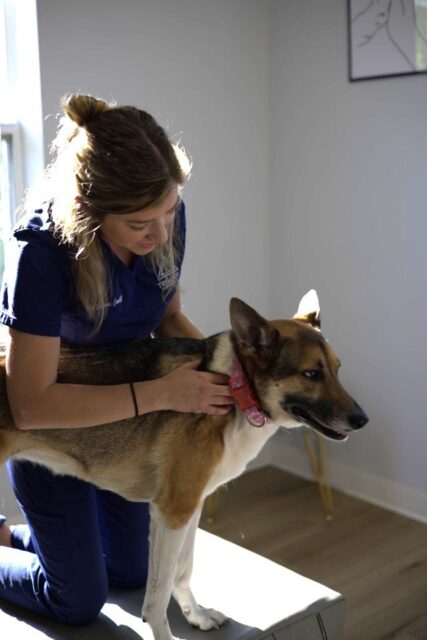 woman holding a dog